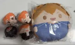ハイキュー 日向翔陽 5点セット