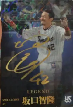 プロ野球チップスカード