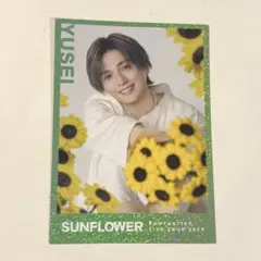 FANTASTICS SUNFLOWER 中島颯太 フォトカ トレカ シクレ - メルカリ