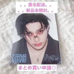 Stray Kids スキズ バンチャン KARMA アコーディオン 新品