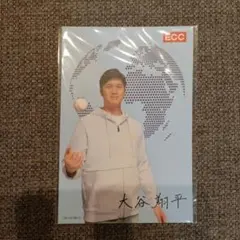大谷翔平 ECC ポストカード