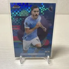 Kvaratskhelia 2024-25 Panini Select ゼブラ柄 - メルカリ