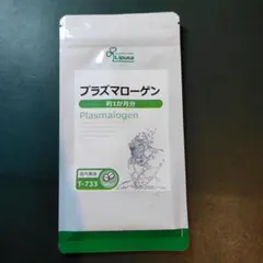 Item thumbnail for item ecdf7f9c-bc26-420e-940c-a19252524329