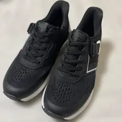 Item thumbnail for item 3ad87643-40a3-4d8a-81d6-95cfae55f4d9