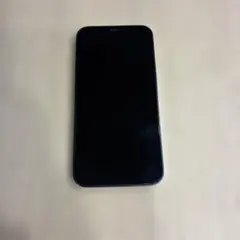 Apple iPhone 12 mini 本体 128GB バッテリー交換有り