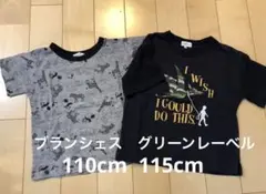 グリーンレーベル　ブランシェス　Tシャツ　115 恐竜柄　110 動物柄