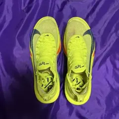 Item thumbnail for item 21ef1137-ae18-45f1-b640-200d99cdbe84