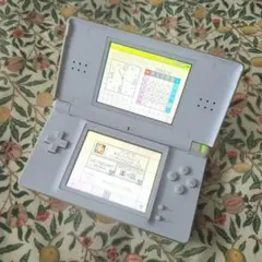 【動作確認済】ニンテンドー DS Lite 本体 ホワイト