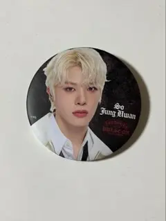 treasure ジョンファン 缶バッジ