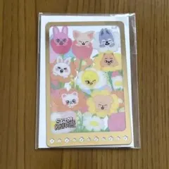 stray kids 特典 クリアカード トレカ skzoo スキズ POPUP