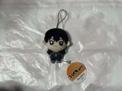 新品未使用 影山飛雄 ハイキュー‼︎ ぬいぷりけmini⑩