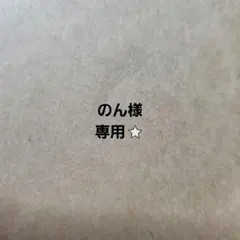 のん様専用⭐