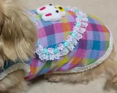 身幅19、5 着丈30くらい　試着のみ　うさぎさんタンクトップ