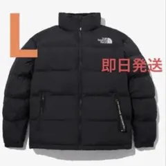 新品タグTHE NORTH FACE EGLON EX DOWN JACKET