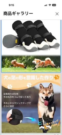 Item thumbnail for item 28854d8b-809a-47d8-930d-8bf0266aef80