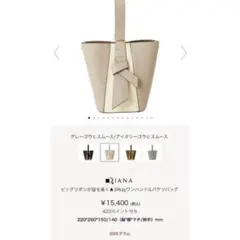 DIANA ハンドバッグ グレー アイボリー