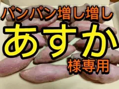あすか様専用　パンパン増し増し追加分