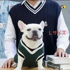 Item thumbnail for item bf01c61e-0d40-45a4-a9fd-6c45ff2f4fe3