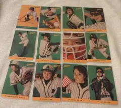 あいみょん 、、、Aimyons 甲子園 カード 17種 ノーマルコンプ - メルカリ