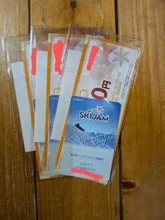 スキージャム勝山 25-26 大人1日券 you様専用