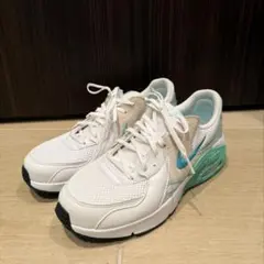 NIKE エアマックスエクシー 25cm