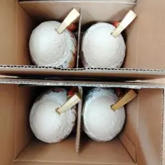 Item thumbnail for item 61b4ce4f-6c50-4571-b4c7-312774ad1e9c