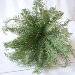 ますみ様 リクエスト 2点 まとめ商品