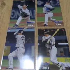 プロ野球チップス2024 東京ヤクルトスワローズ ４枚セット