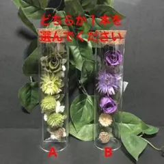 Item thumbnail for item 618b18e4-a923-49de-b981-a472a00e2bb7