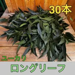 SoRaya1379様 リクエスト 2点 まとめ商品