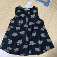 Item thumbnail for item d5db0f11-7da6-465d-bc22-7087c4e647d3