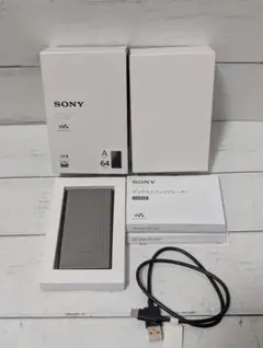 SONY ウォークマン 64GB NW-A307 グレー　ソニーのサムネイル