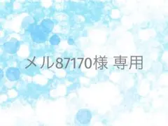 メル87170様 リクエスト 2点 まとめ商品