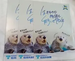 2026年最新】鳥羽水族館 70周年の人気アイテム - メルカリ