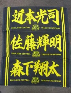 阪神タイガース タオル5枚セット (近本 佐藤 井上 森下 木浪) 阪神タイガース タオル5枚セット (近本 佐藤 井上 森下 木浪