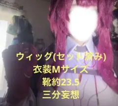 く*む様 スーパーそに子 着ぐるみマスク 手作り - メルカリ