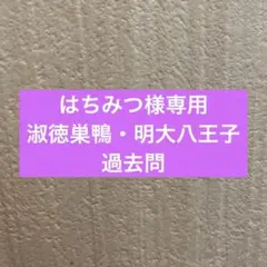 はちみつ様専用　リクエスト 2点 まとめ商品