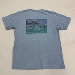 【reyn spooner】tシャツ　プリント　古着　ビンテージ　グレー　アロハのサムネイル