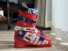 2026年最新】ロシニョール デモの人気アイテム - メルカリ