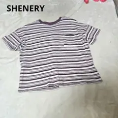 【オシャレ⭐SHENERY】あずき色　白　ボーダー　カットソーのサムネイル
