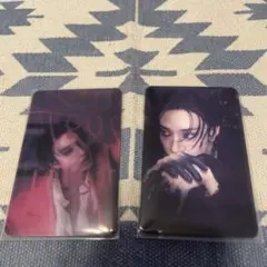 Stray Kids レンチキュラー バンチャン2枚セット