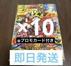 即日発送❗️週刊少年ジャンプ33号 ワンピースカード付録付き 新品 10
