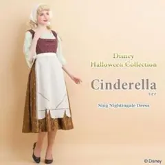 secret honey ウェンディ ピーターパン - メルカリ