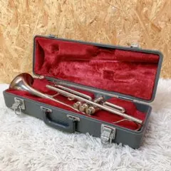 Item thumbnail for item 153c58fe-8707-43a6-8be9-6743bf5e3971