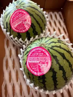 2025年最新】ピノガール スイカの人気アイテム - メルカリ