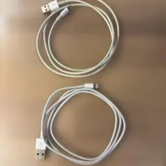 Lightningケーブル 2本とUSB充電器 2個セット