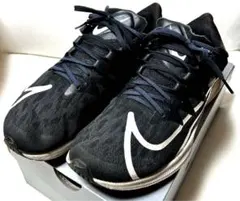 NIKEナイキ・ランニングシューズ ズーム ライバルフライ27.5㎝