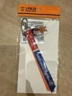 清水エスパルス マテウスブルネッティ選手 マッチデーボンフィン