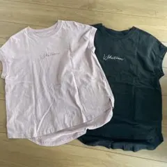 コットン天竺エンブロイダリーロゴフレンチスリーブTシャツ　andme 2枚セット