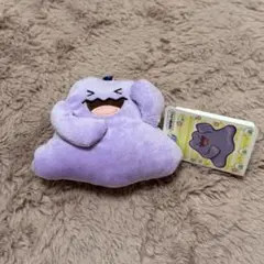 みんなでソーナンス！カラビナ付きポーチ 메타몽